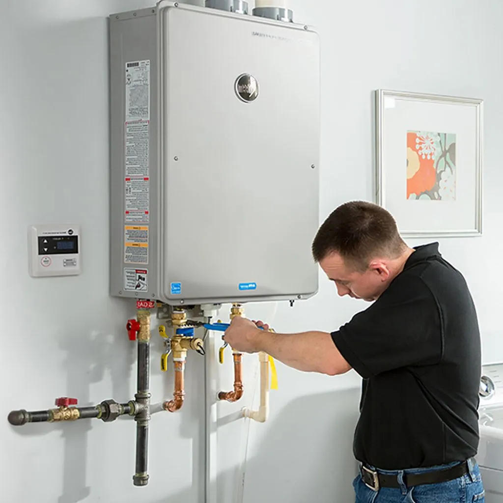 tankless water heater repair in Carriere, MS